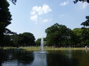 yoyogipark